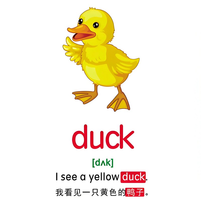 English Chinese Flash Cards English Chinese Flash Cards